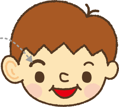 まゆげ