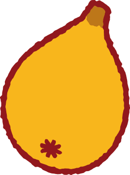 びわ