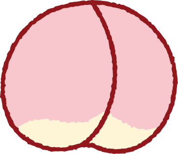 もも